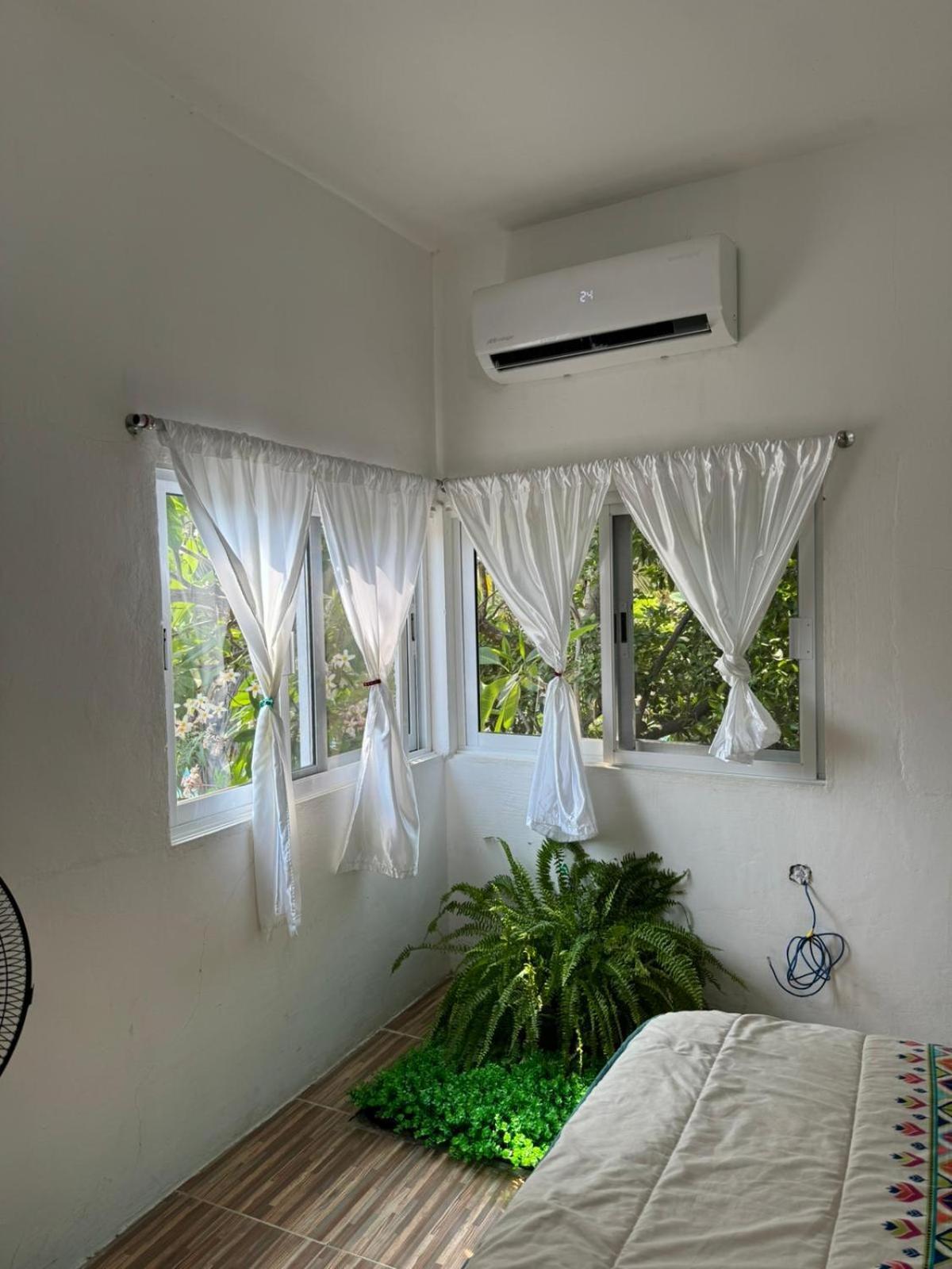 Casa Mama Lolis Apartment Puerto Angel Ngoại thất bức ảnh